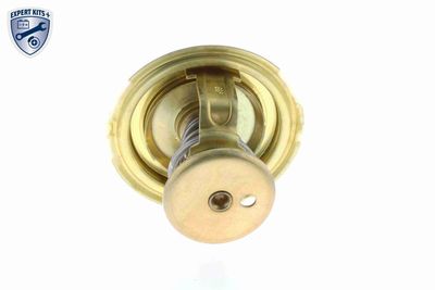 TERMOSTAT LICHID RACIRE VEMO V50990002 8