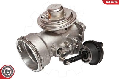 EGR Valve 14SKV025