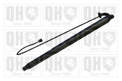 MOTOR ELECTRIC HAION