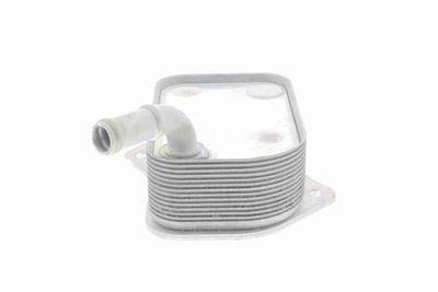 RADIATOR ULEI ULEI MOTOR VEMO V15606071 7