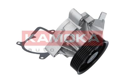 Water Pump, engine cooling T0053