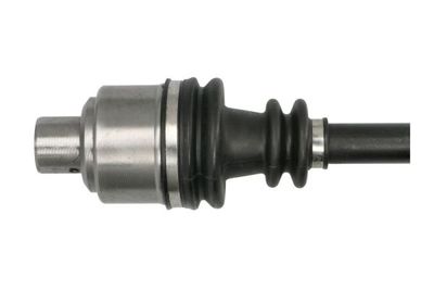 Planetara PASCAL G2R019PC
