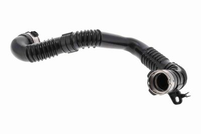 FURTUN EAR SUPRAALIMENTARE ACKOJA A380687 2