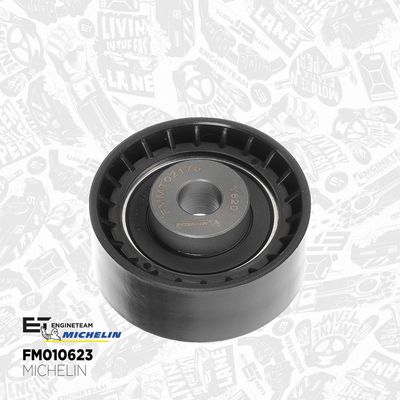 SET CUREA DE DISTRIBUTIE ET ENGINETEAM RM0035 5