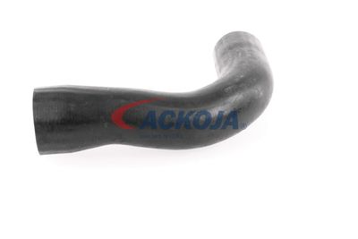 FURTUN EAR SUPRAALIMENTARE ACKOJA A389600 30