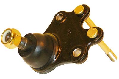 Kavo Parts Šarnyras / girgždukas