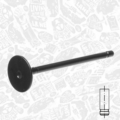 SUPAPA ADMISIE ET ENGINETEAM VI0180 1