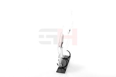 PROTECTIE STROPIRE DISC FRANA GH GH481549H 43