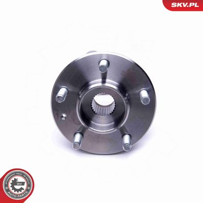 SET RULMENT ROATA ESEN SKV 29SKV350 4