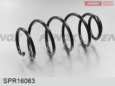 FENOX SPR16063 Пружина підвіски 