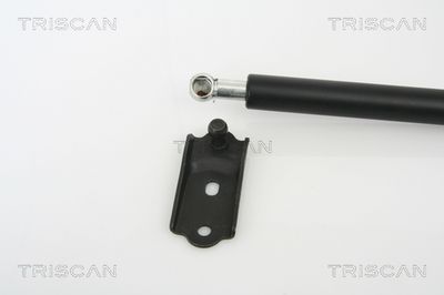 AMORTIZOR PORTBAGAJ KAWE 871013252 1