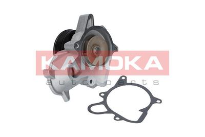 Water Pump, engine cooling T0053