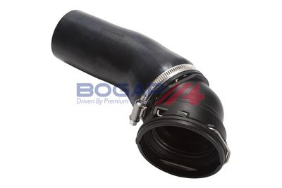 FURTUN EAR SUPRAALIMENTARE BOGAP B1711157 4