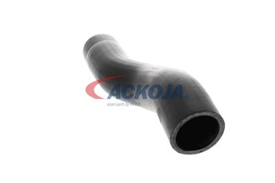 FURTUN EAR SUPRAALIMENTARE ACKOJA A529600 20