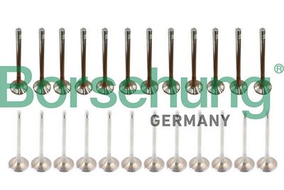 SET SUPAPE SUPAPă ADMISIE/EVACUARE Borsehung B13399