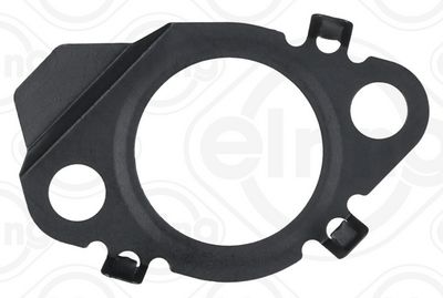 EGR kleppakking