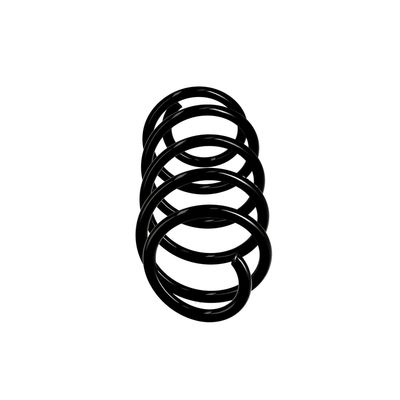 ARC SPIRAL EIBACH R10371 1