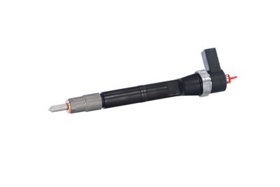 INJECTOR REMANTE 002003001084R 9