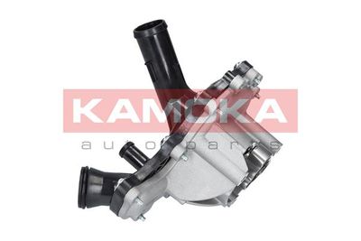 Water Pump, engine cooling T0096