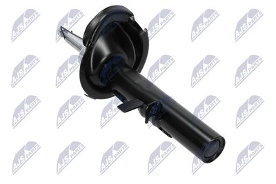 AMORTIZOR NTY AFR008 12