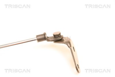 AMORTIZOR PORTBAGAJ TRISCAN 871050229 2