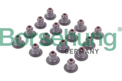 Uszczelniacz, trzonek zaworu BORSEHUNG B12506