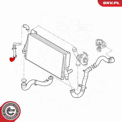 FURTUN EAR SUPRAALIMENTARE ESEN SKV 43SKV186 3