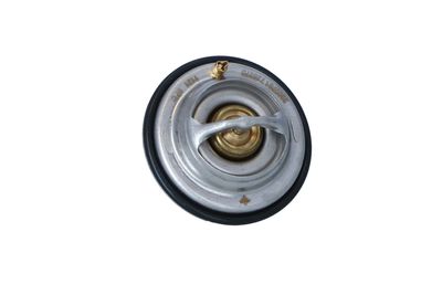 TERMOSTAT LICHID RACIRE NRF 725075 45