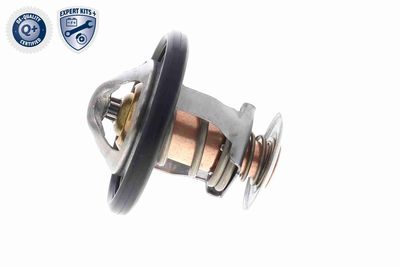 TERMOSTAT LICHID RACIRE ACKOJA A70990031 6