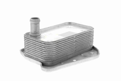 ÖLKüHLER MOTORöL VEMO V30601323 8