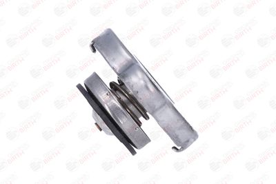 BUSON RADIATOR BIRTH 80429 9