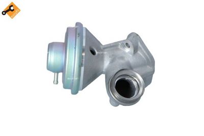 EGR Valve 48391