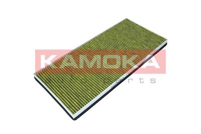 Filter, cabin air 6080058