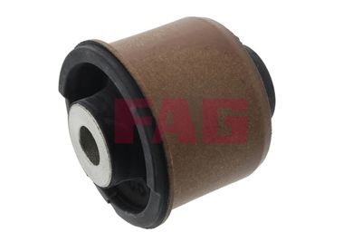 Schaeffler FAG Lagerung, Achskörper
