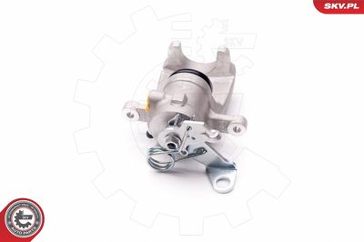 Brake Caliper 34SKV504