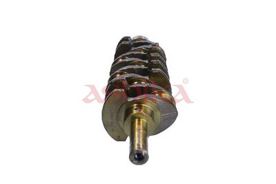 ARBORE COTIT ASHIKA 18TY003 1