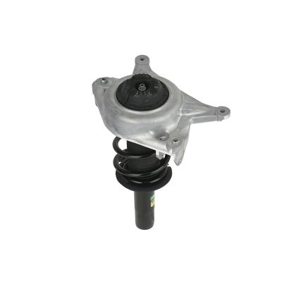 AMORTIZOR Arnott SK3842 69