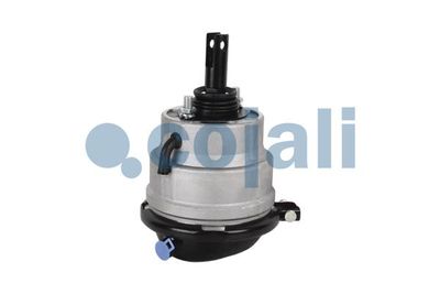 Тормозная пневматическая камера COJALI 2851407