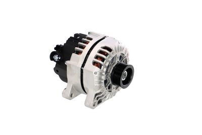GENERATOR / ALTERNATOR REMANTE 011003000717R 51
