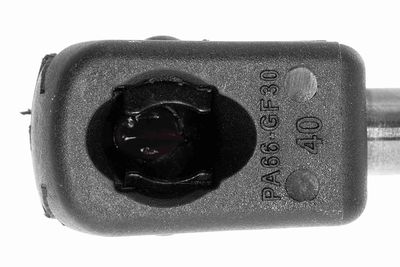 GASFEDER KOFFER-/LADERAUM VAICO V202878 1