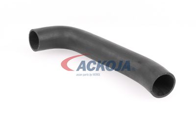 FURTUN EAR SUPRAALIMENTARE ACKOJA A379602 18