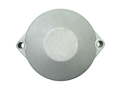 AS-PL Starterdeckel, Vergaser