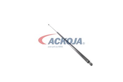 AMORTIZOR PORTBAGAJ ACKOJA A380069 46