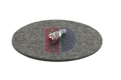 REGELVENTIL KOMPRESSOR AKS DASIS 859024N 4