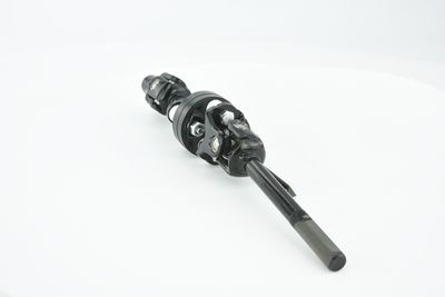 ARBORE DIRECTIE FEBEST ASSZGVSQ 36