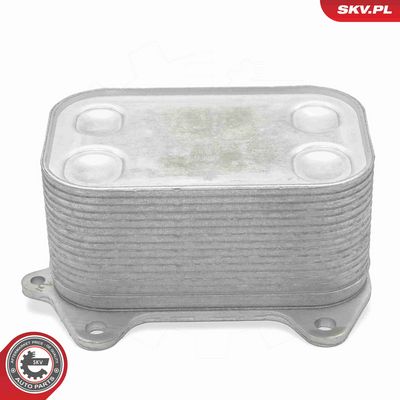 RADIATOR ULEI ULEI MOTOR ESEN SKV 31SKV285 2
