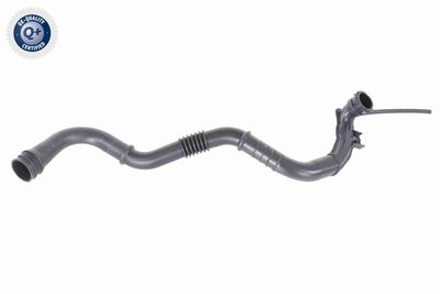 LADELUFTSCHLAUCH VAICO V460742 2