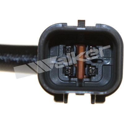 LAMBDASONDE WALKER PRODUCTS 25024162 3