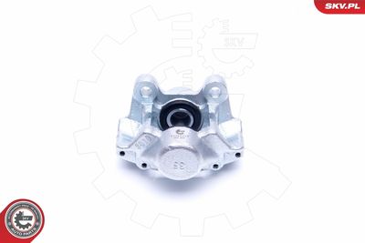 Brake Caliper 42SKV733