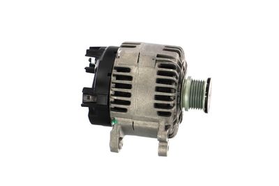 GENERATOR / ALTERNATOR REMANTE 011003000050R 43
